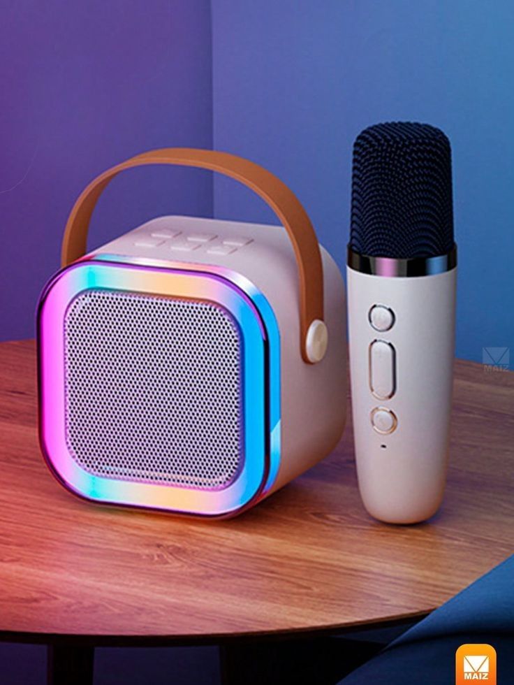 Bluetooth Karaoke Speaker with Microphone